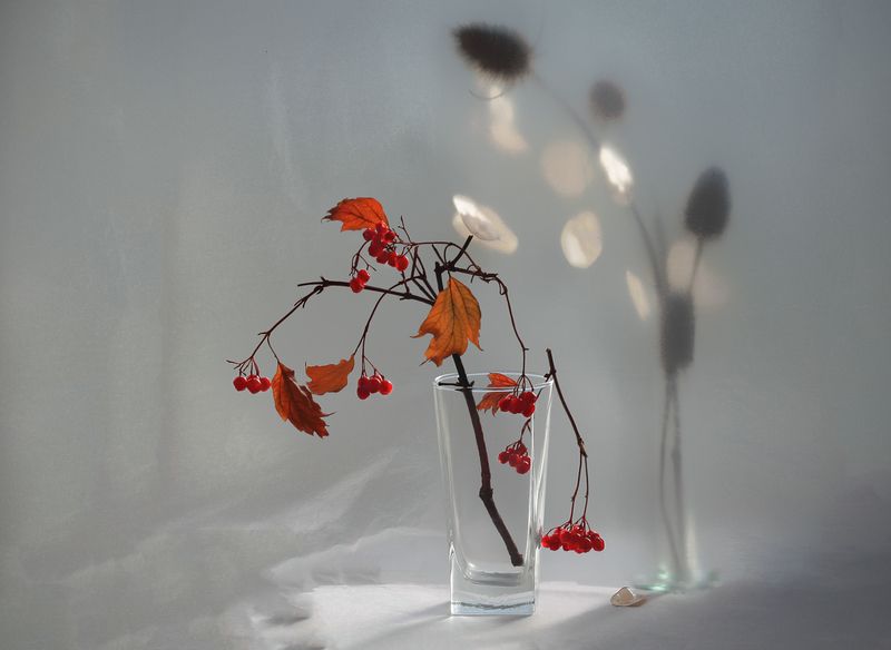 Осенний свет фото превью