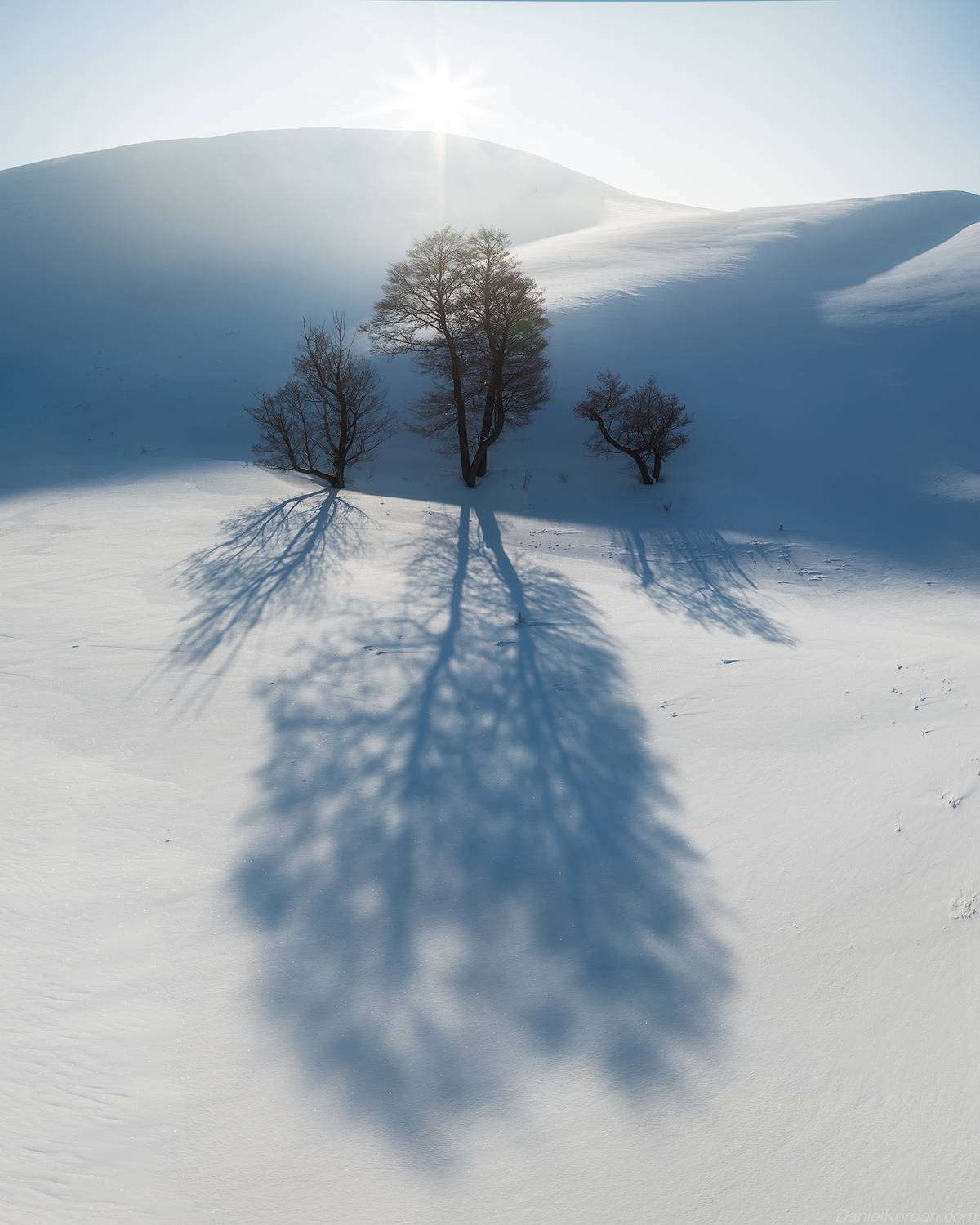 , Даниил Коржонов