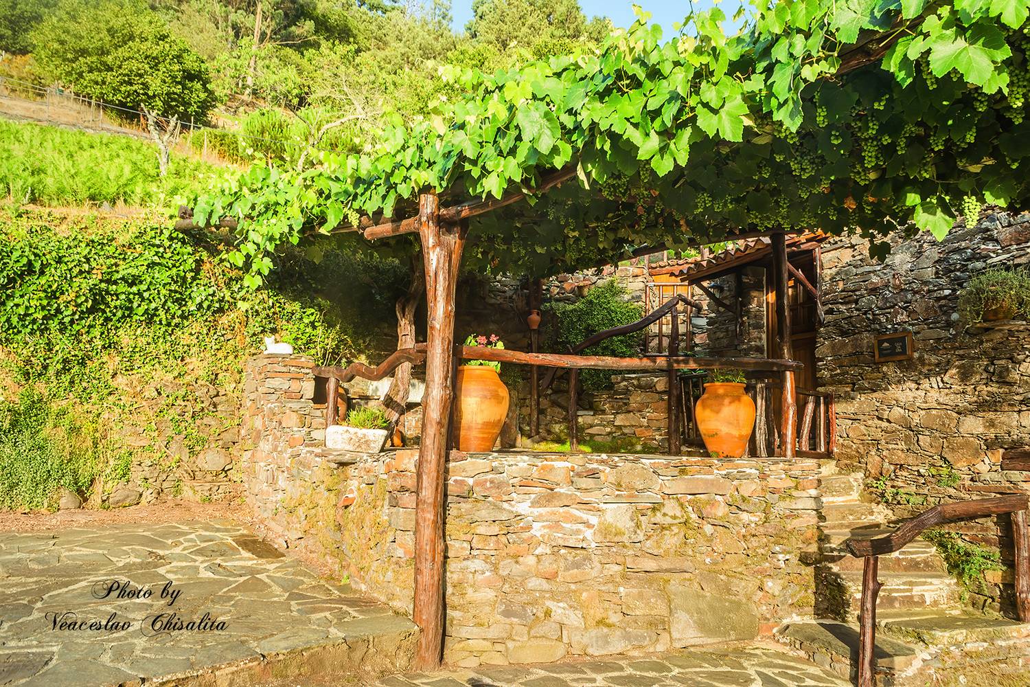 , Veaceslav Chisalita