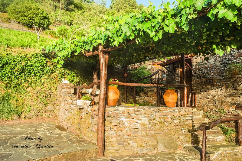 В деревне фото превью