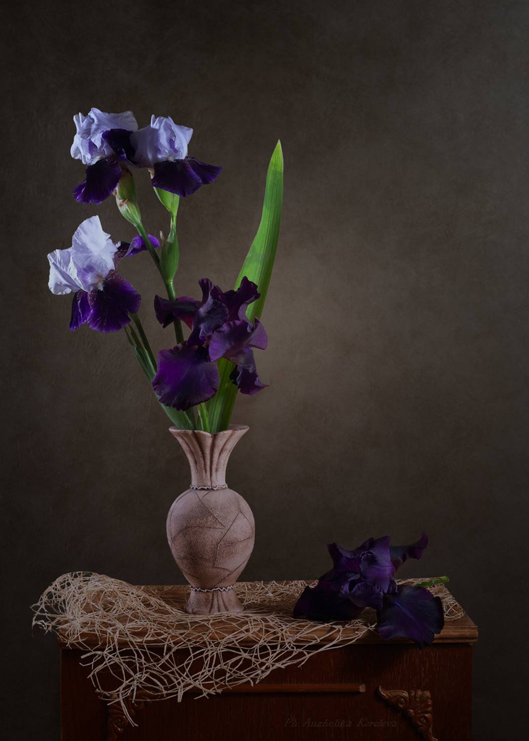 , Анжелика Королева