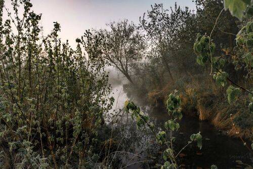 Май. Утренние заморозки.