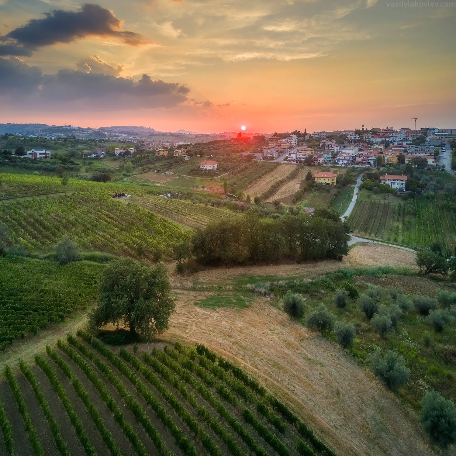 , Василий Яковлев