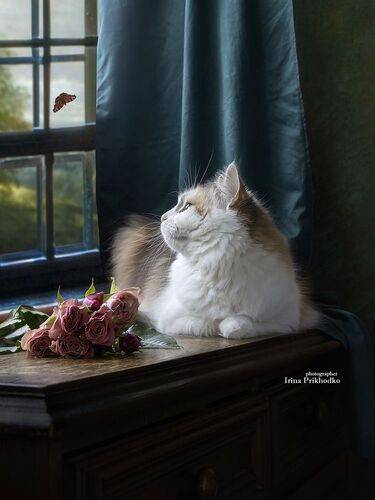 Здравствуй, лето!