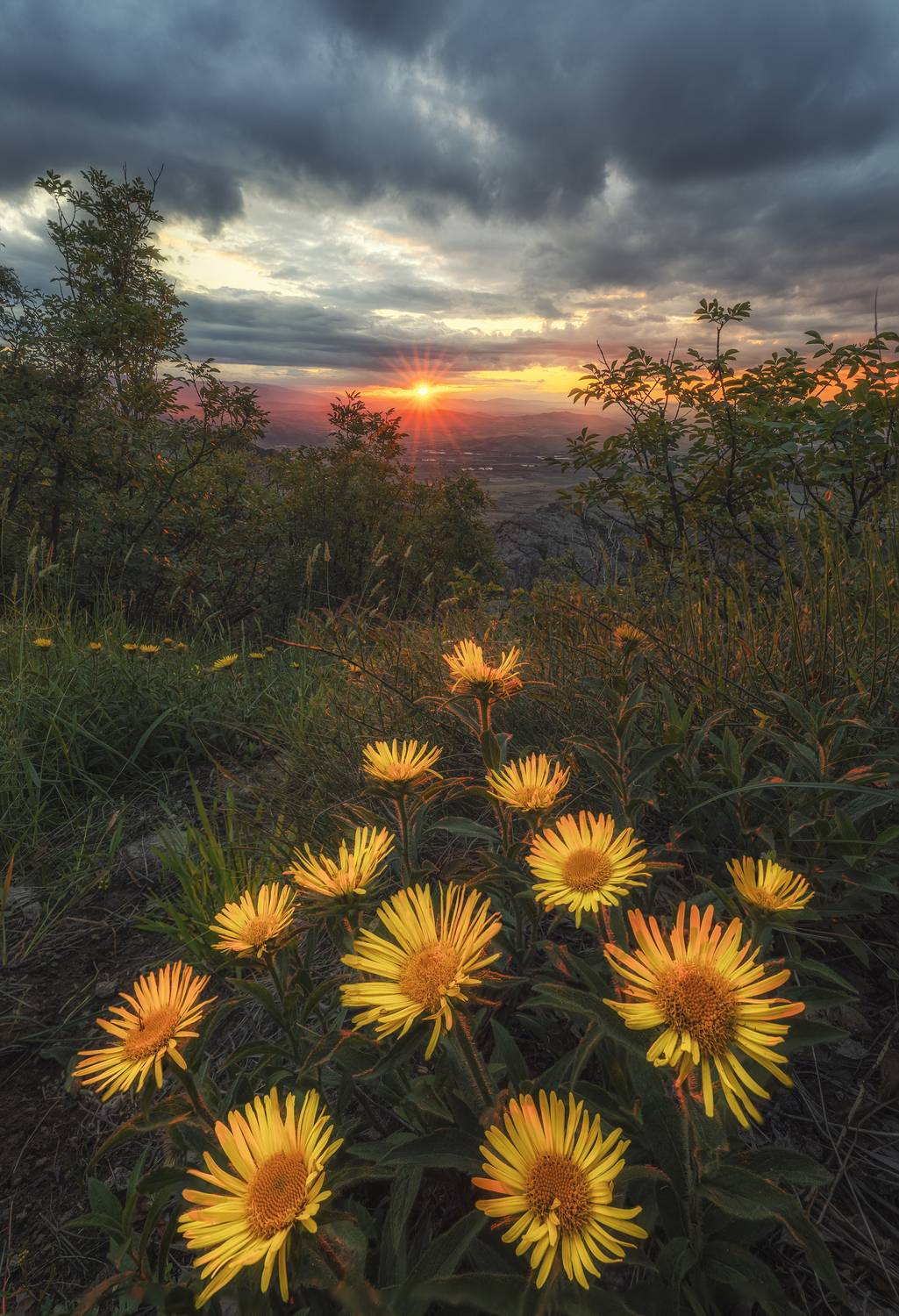 , Маджаров Костадин