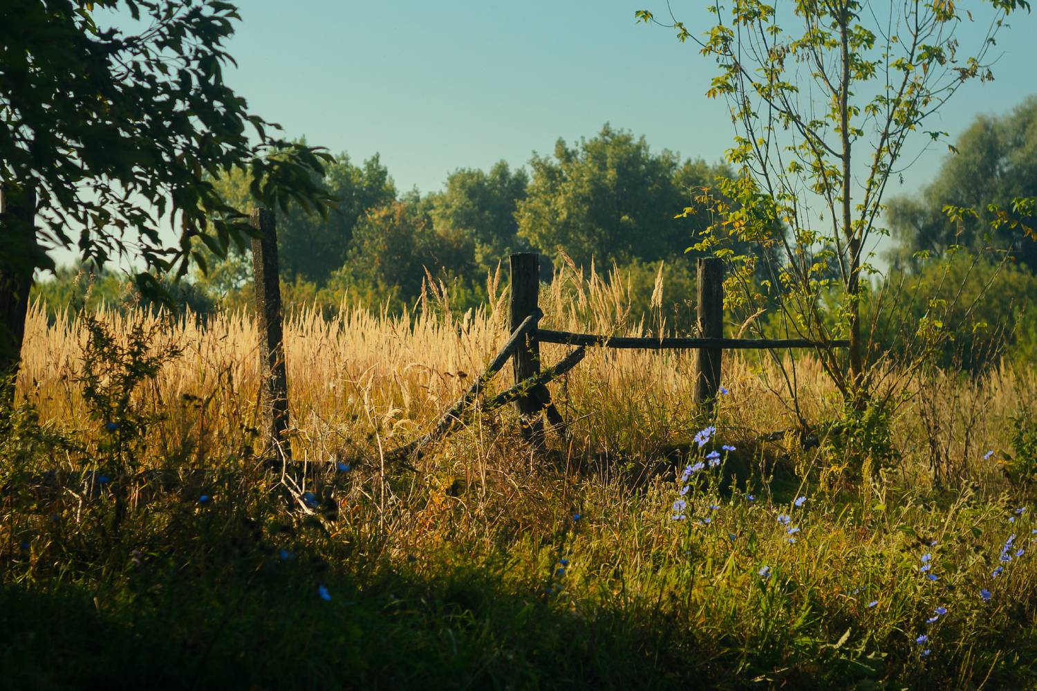 , Лысенко Сергей