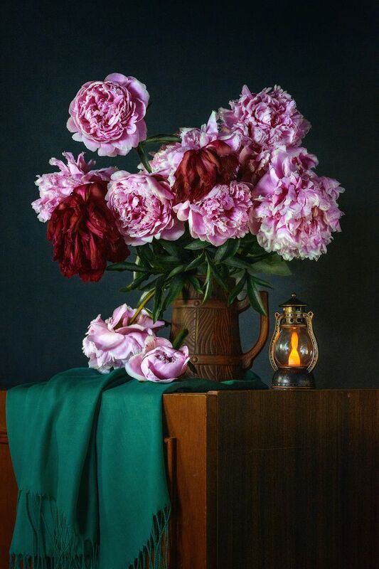 пионы фото превью