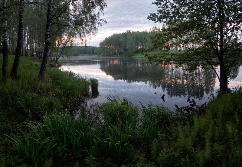 *** фото превью