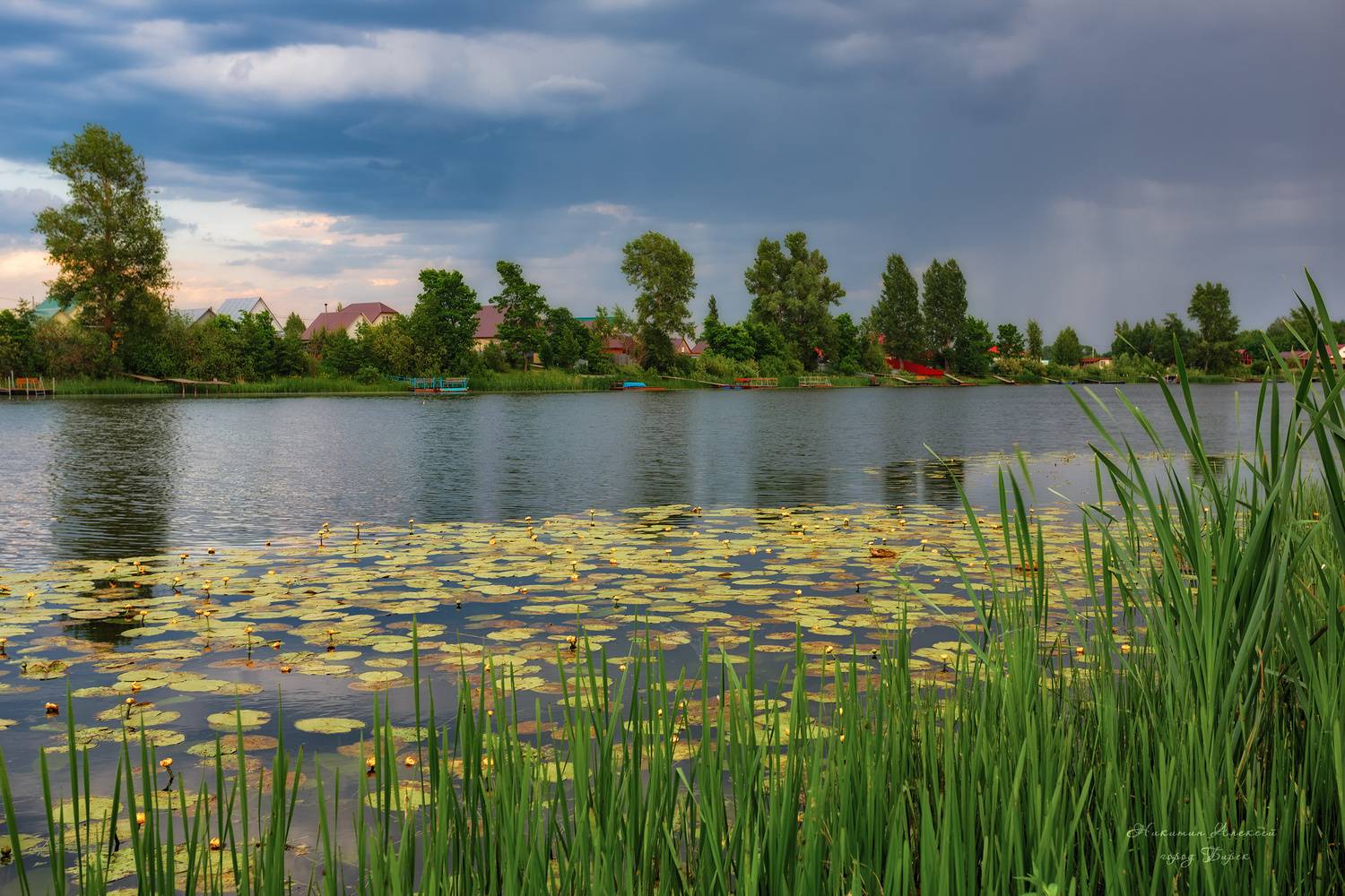 , Никитин Алексей