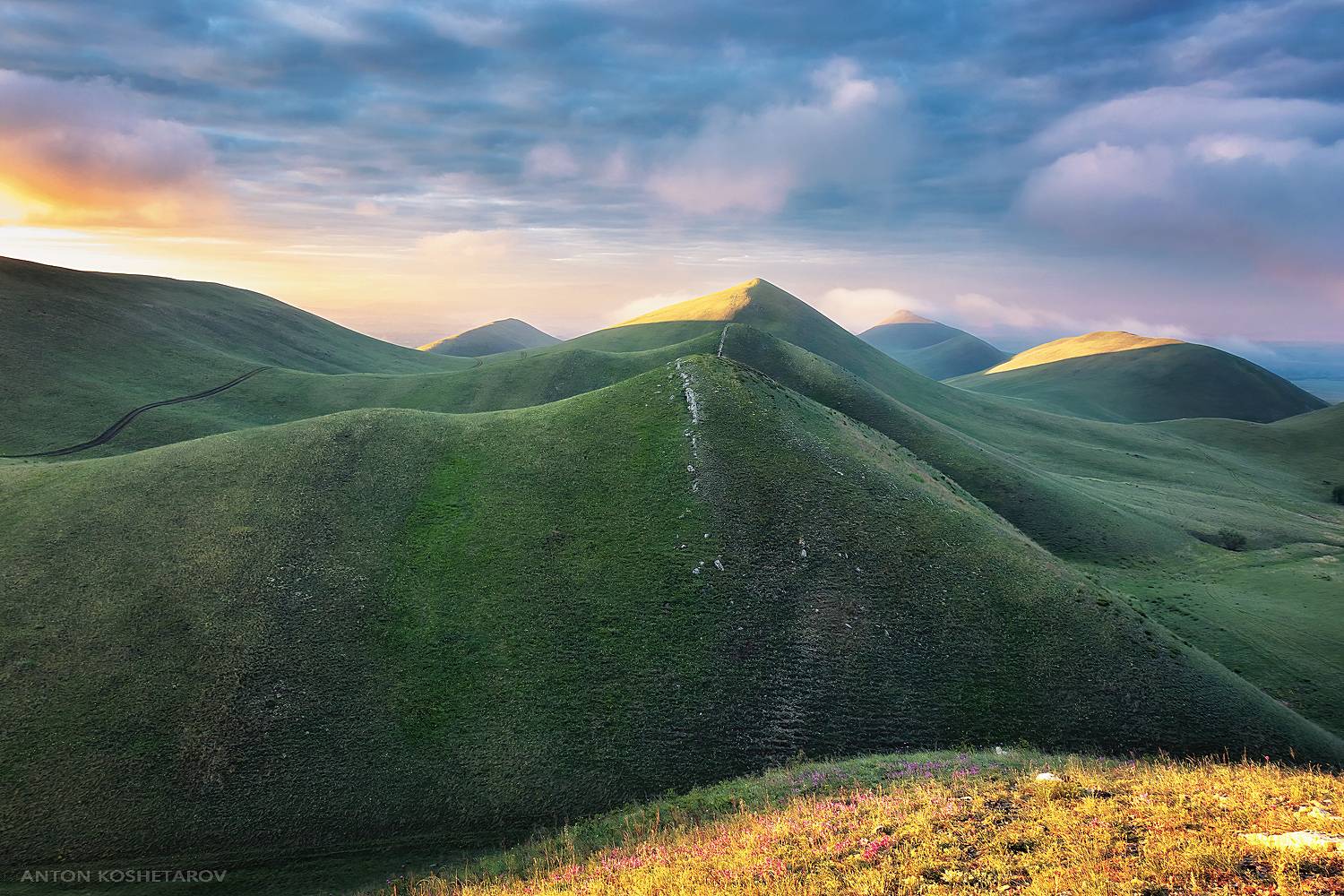 , Антон Кошетаров