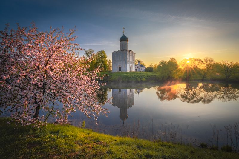 покрова на нерли, утро, яблоня, цветение Рассвет на Нерли фото превью