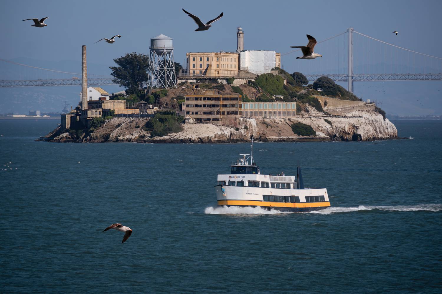 island, city, cityscape, Alcatraz, San Francisco, bay, tourism, travel destination, california, yacht, sailing boat, sea, view, Andrey Shpek