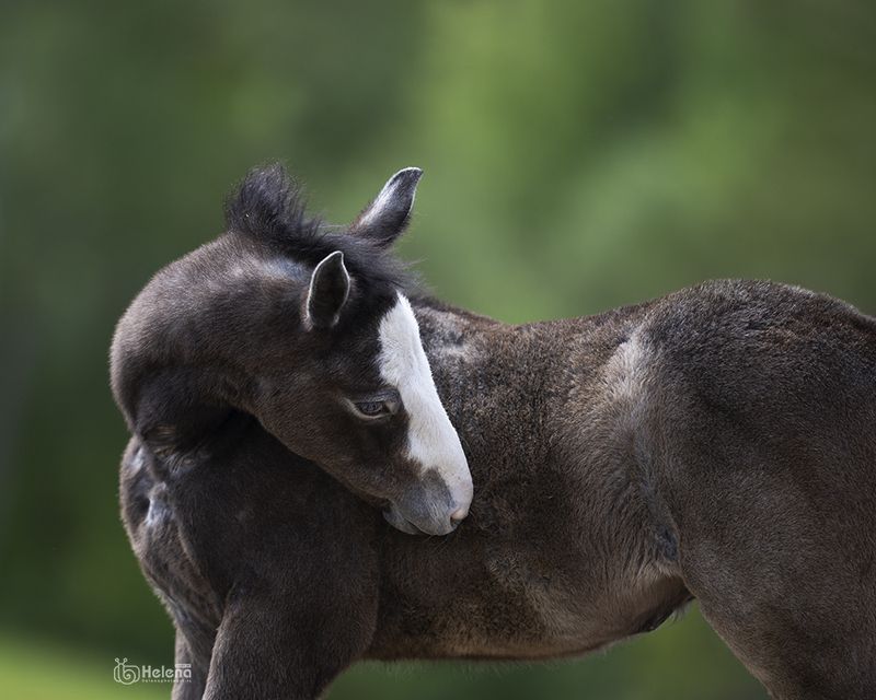 Первый день лета фото превью