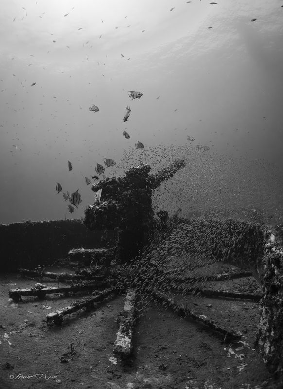 wreck2 фото превью