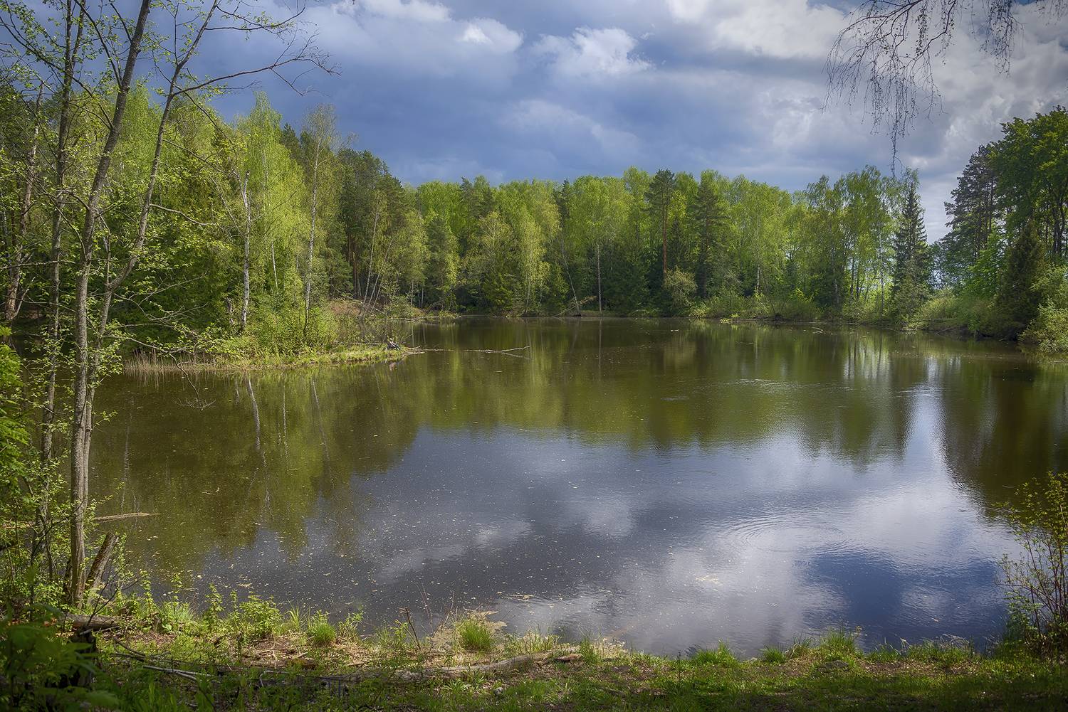 , Сергей Аникин