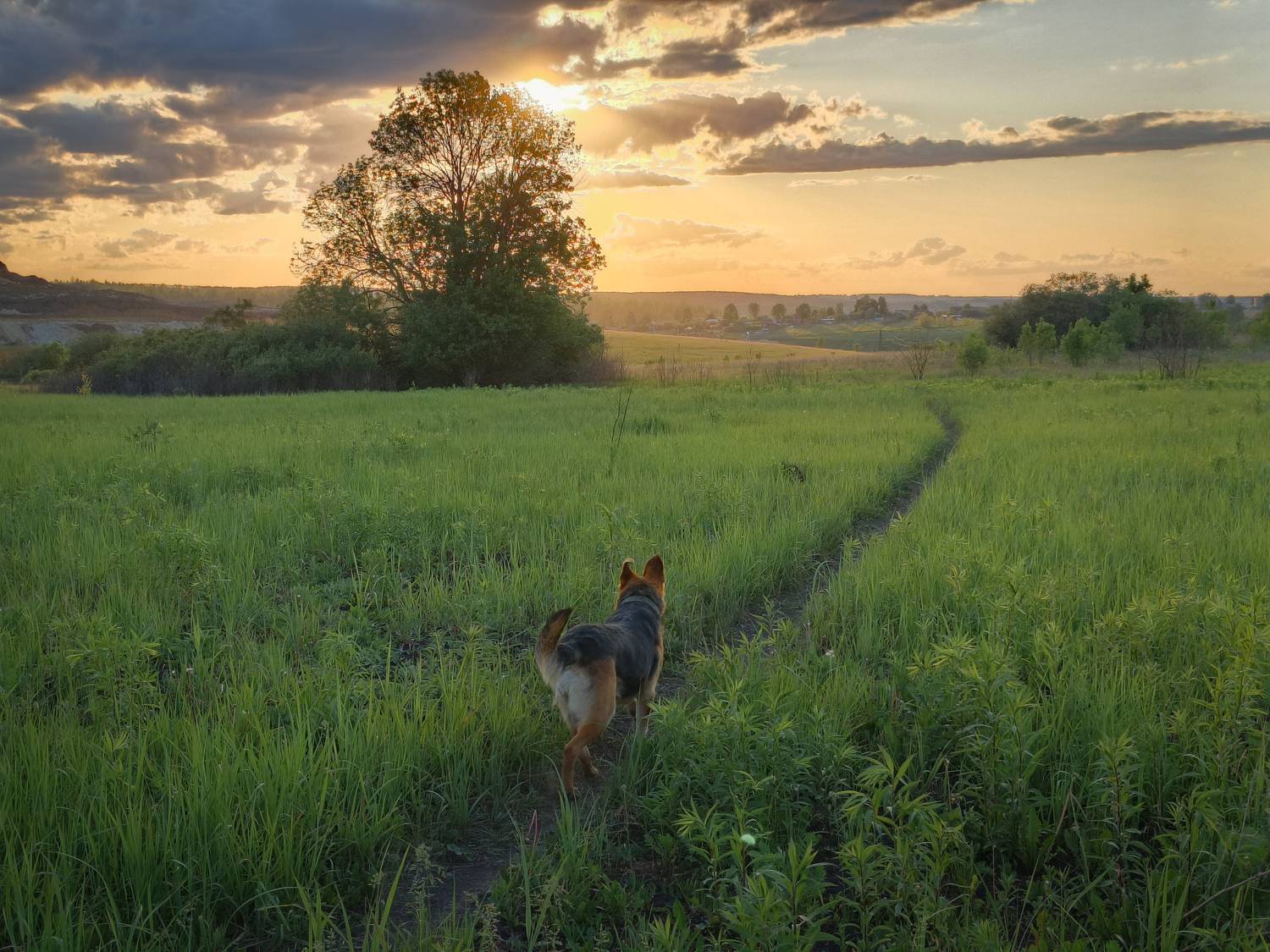 , Кондрашова Светлана
