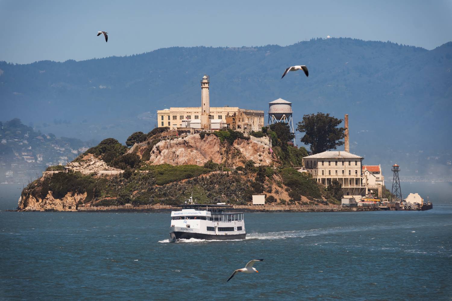 island, city, cityscape, Alcatraz, San Francisco, bay, tourism, travel destination, california, yacht, sailing boat, sea, view, Andrey Shpek
