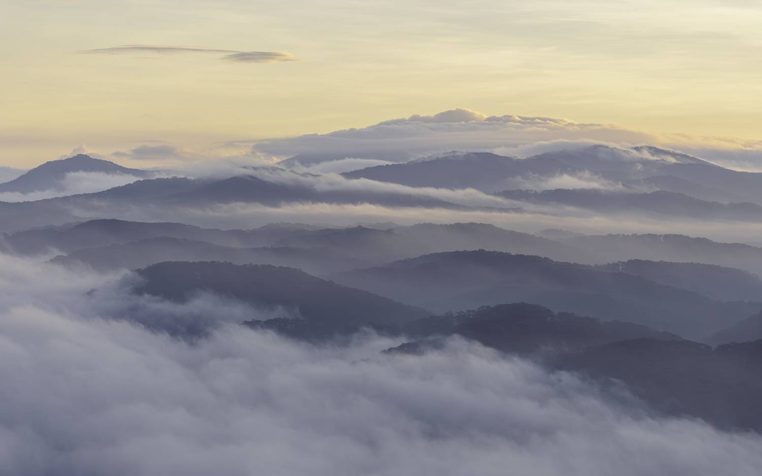 landscape; cloud; hill; moutain; pine; dawn, Do Trung