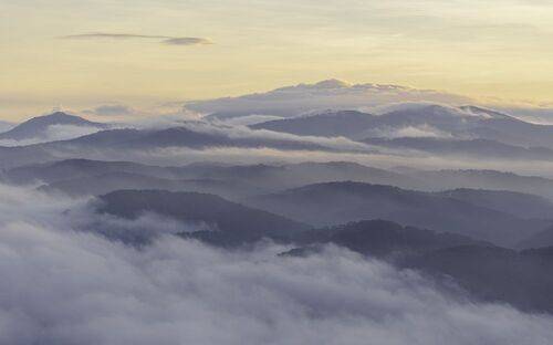 Clouds over pine hill in Dalat, Vietnam