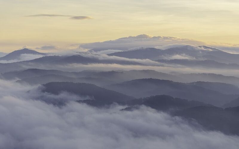 landscape; cloud; hill; moutain; pine; dawn Clouds over pine hill in Dalat, Vietnam фото превью
