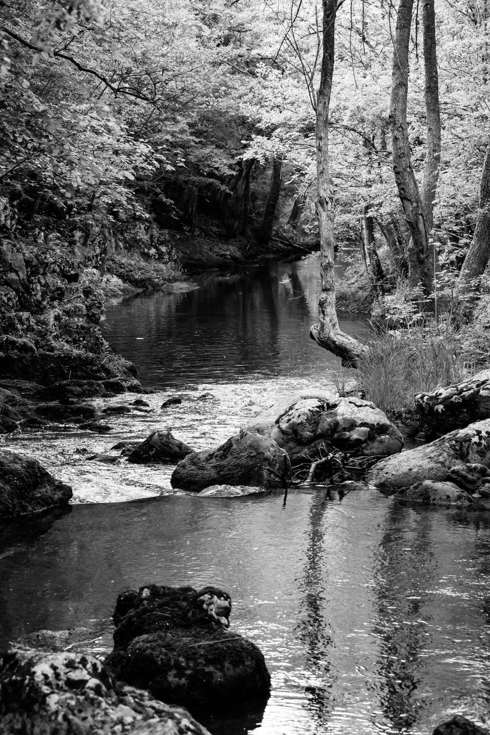 , Александр Шилов