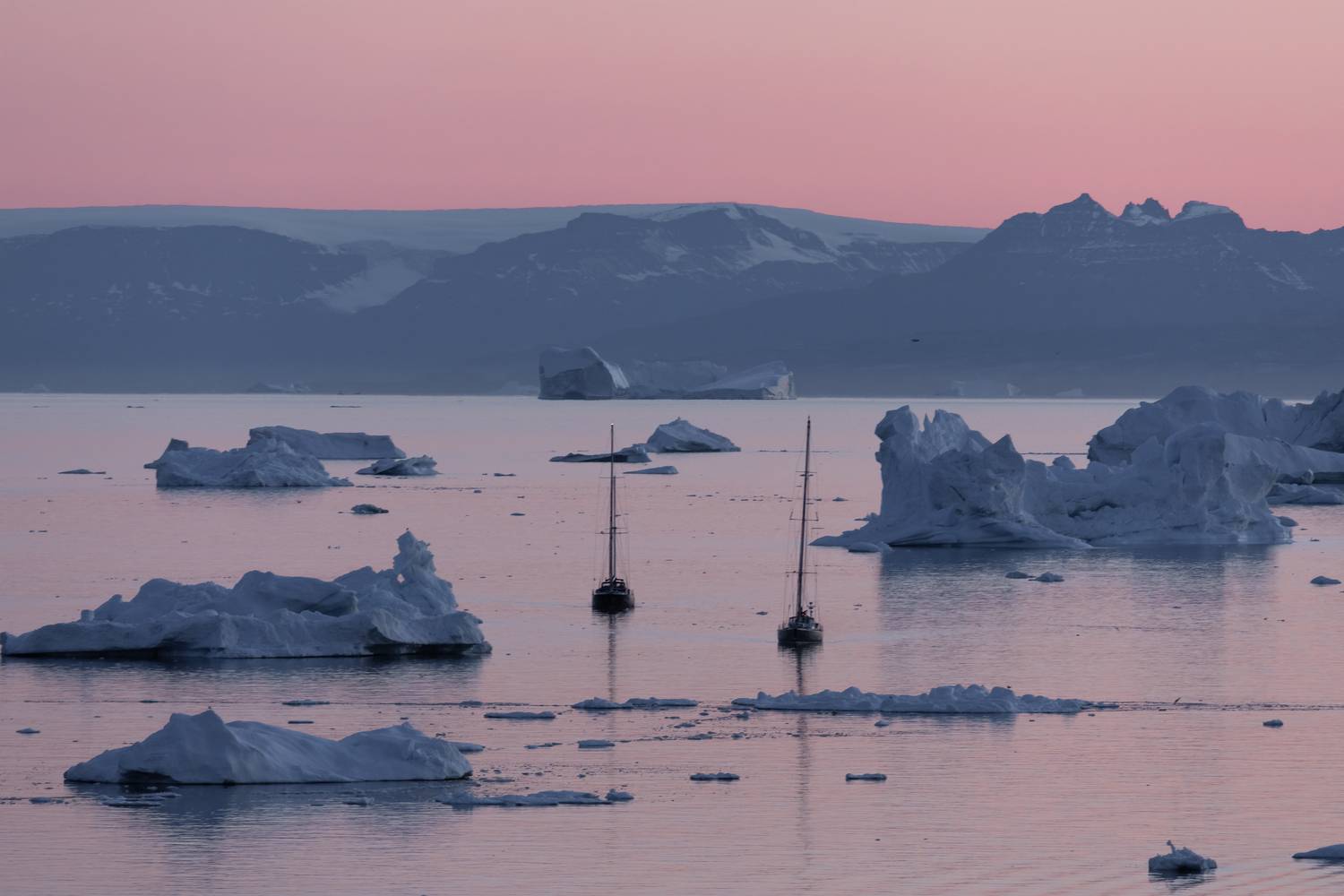 , Евгения Чех