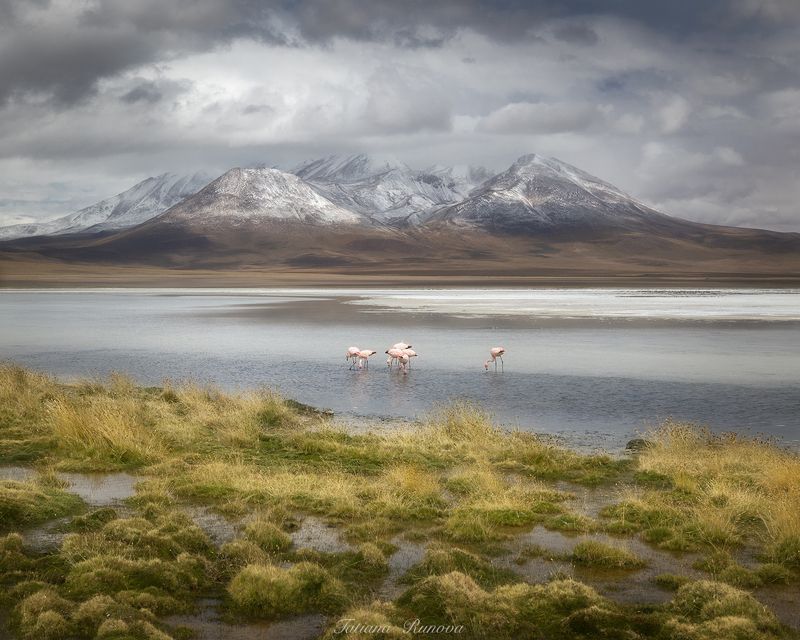 Умиротворение фото превью