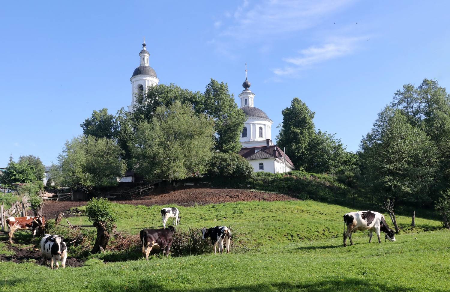 , Добролюбова Тамара