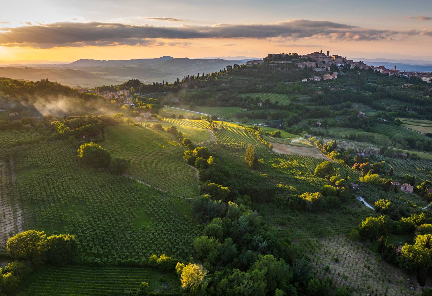 , Алекс Римский