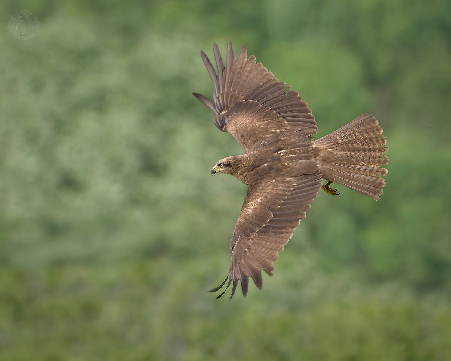 , Евгени Стефанов