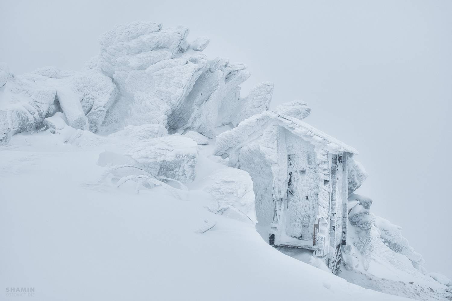 , Константин Шамин