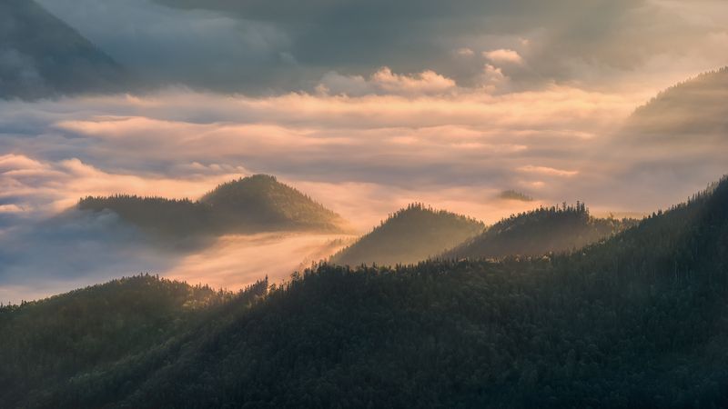 Carpathian Morning фото превью
