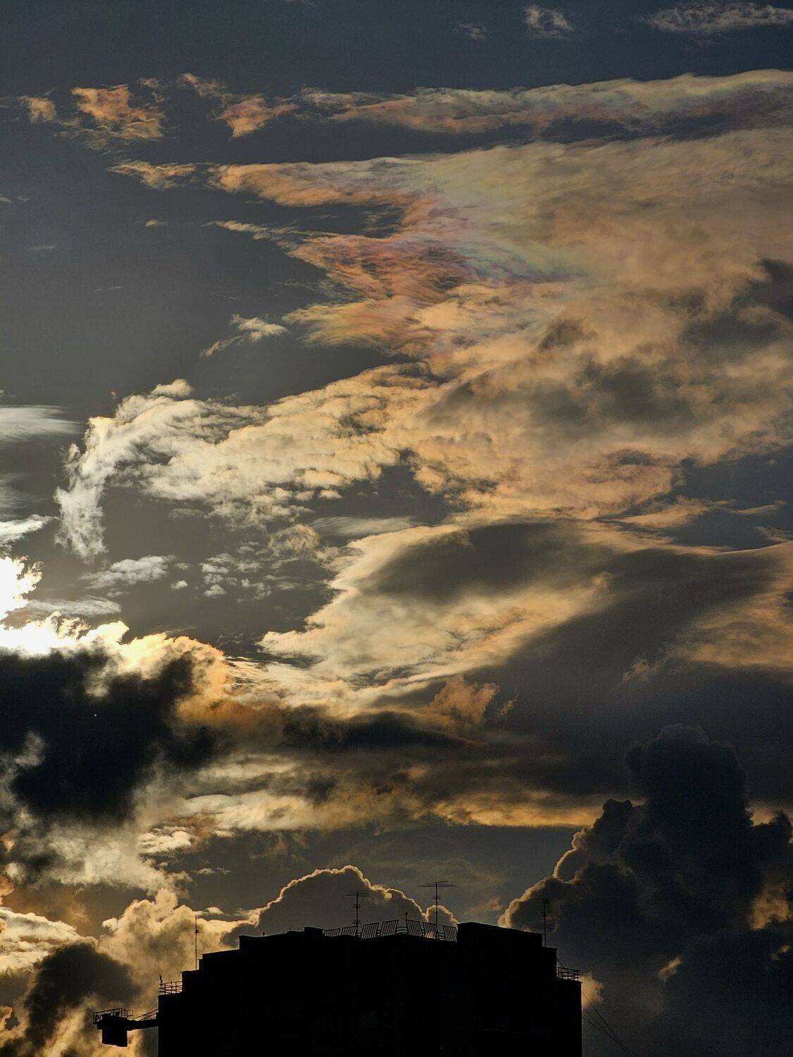 , Мария Яковлева