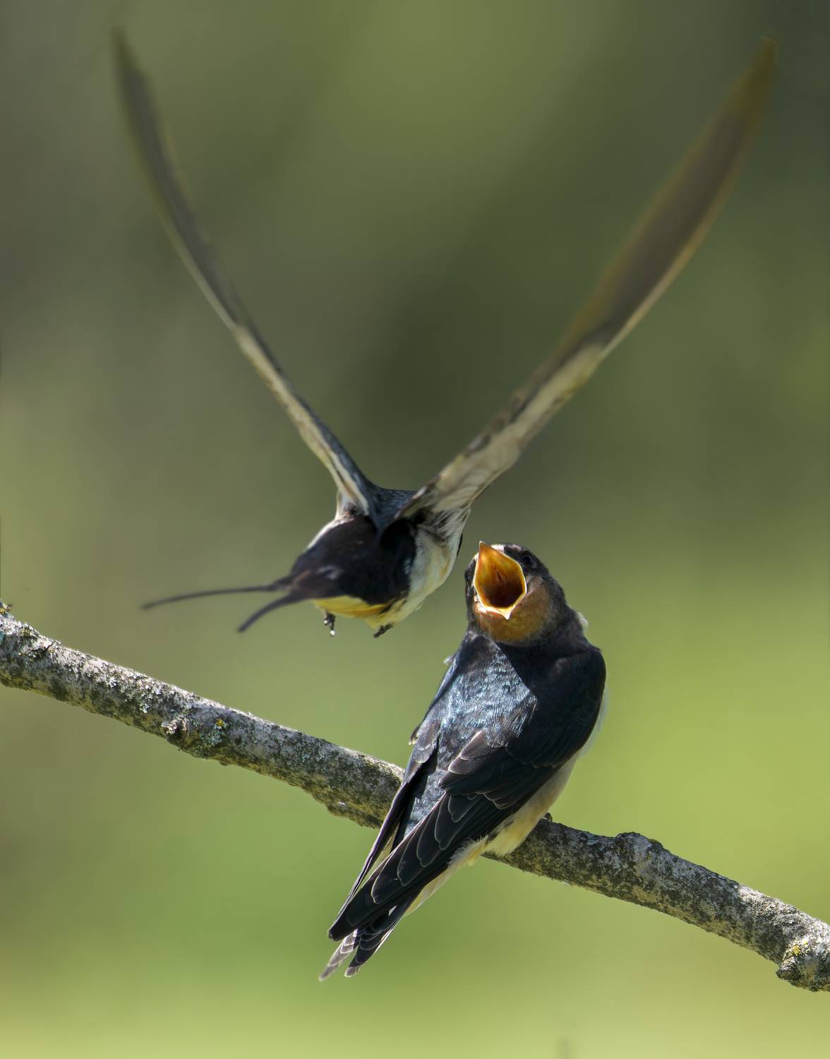 , Фото Александр