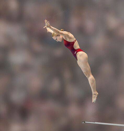 dive