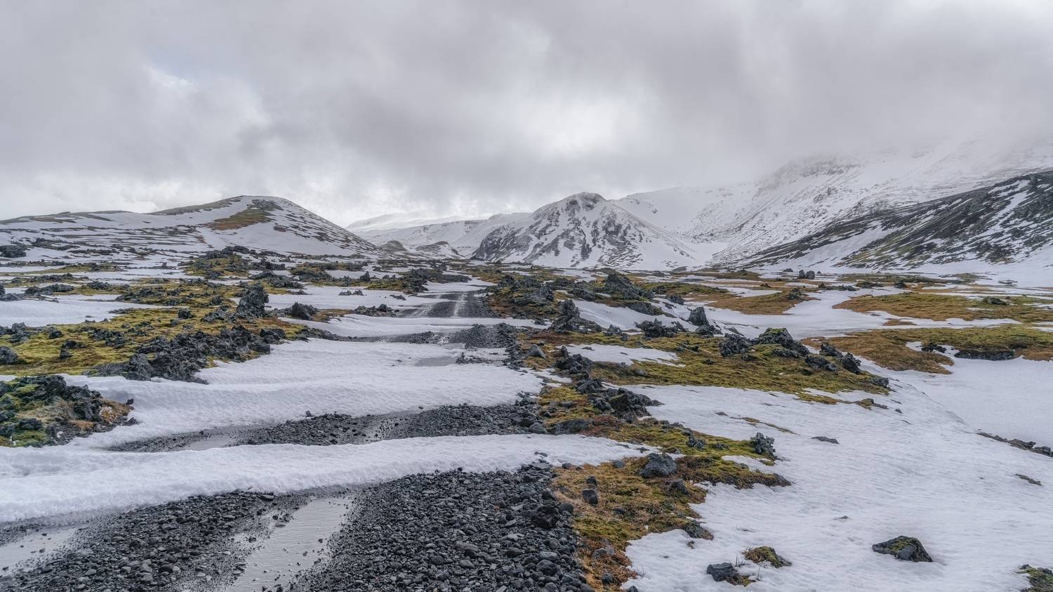 , Шварцман Евгений
