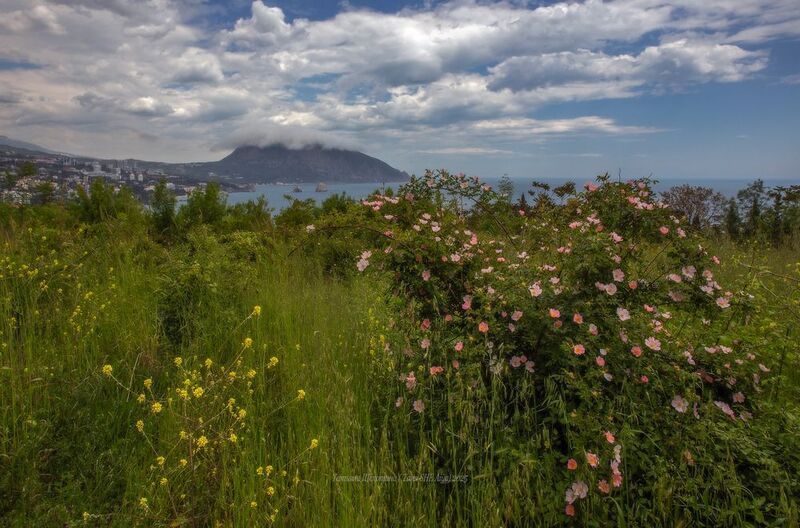 крым, аю-даг, гурзуф, пейзаж, горы, море, landscape, crimea, крымский пейзаж, медведь гора Аю-Даг фото превью