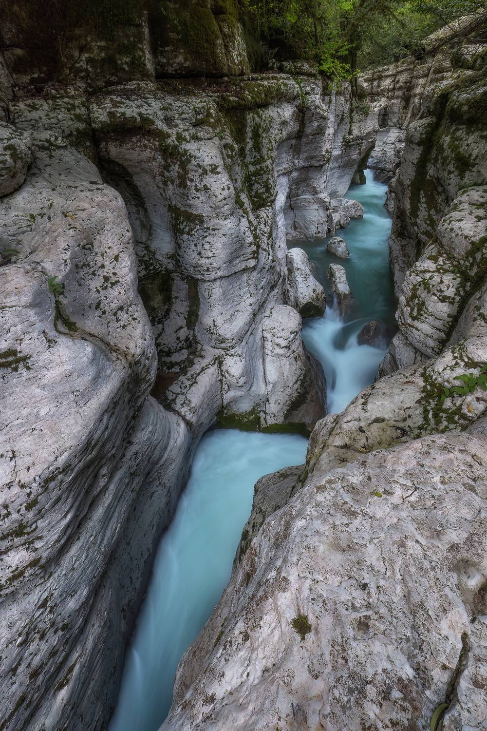 , Константин Маланин