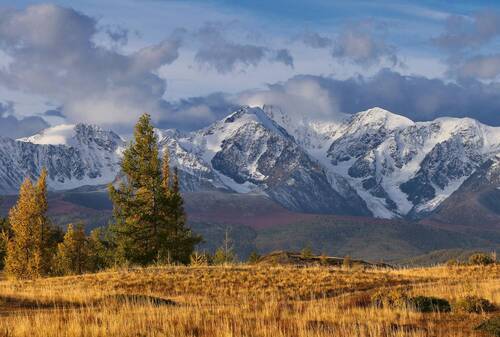 Северо-Чуйский