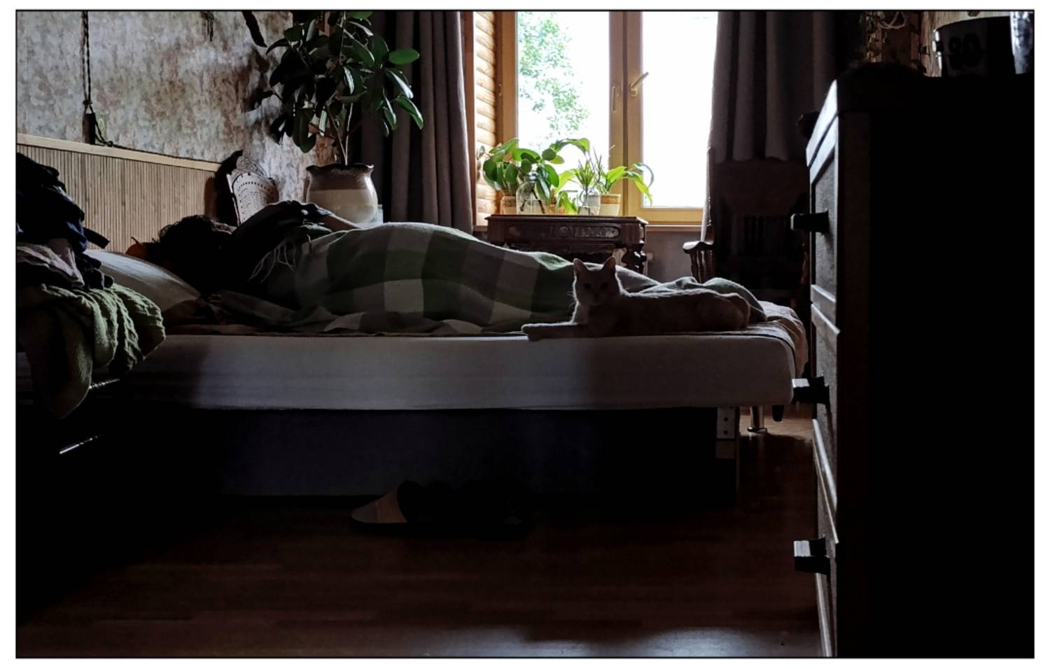 , Герасимова Алёна