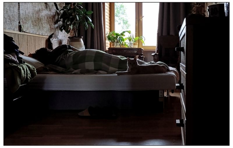 Дневной сон фото превью