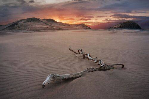 В пустыне чахлой и скупой