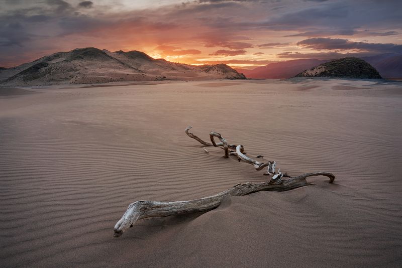 В пустыне чахлой и скупой фото превью