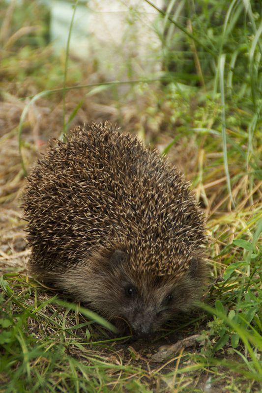 встреча фото превью
