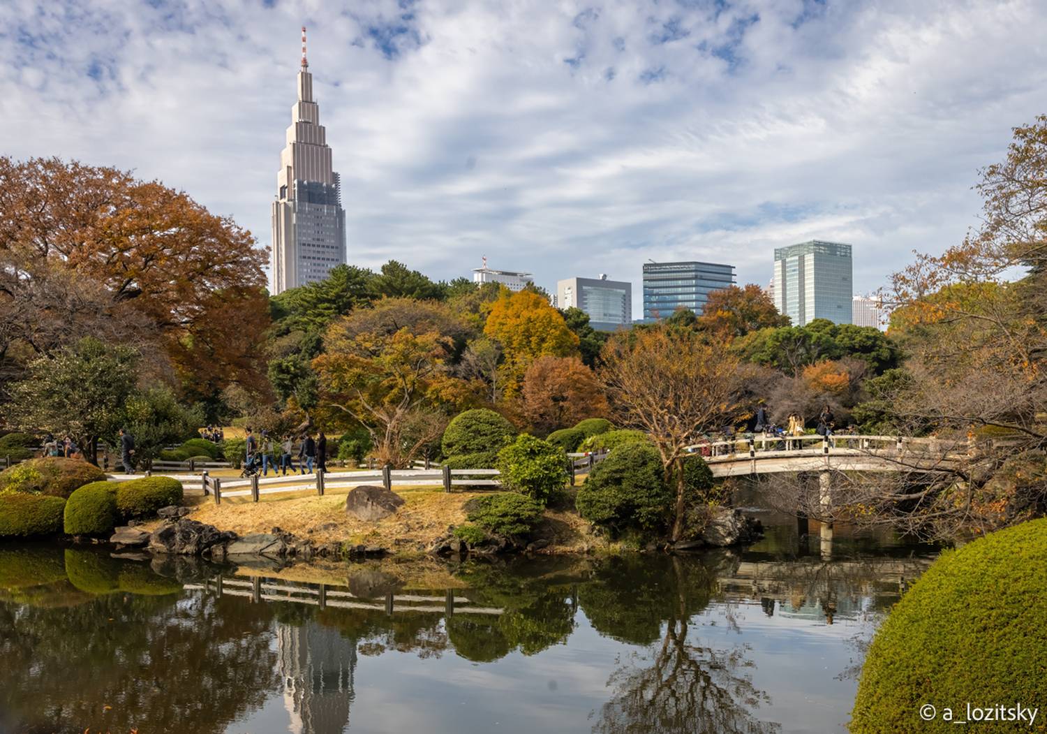 , Лозицкий Александр