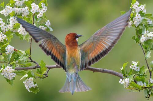 Лето, привет!