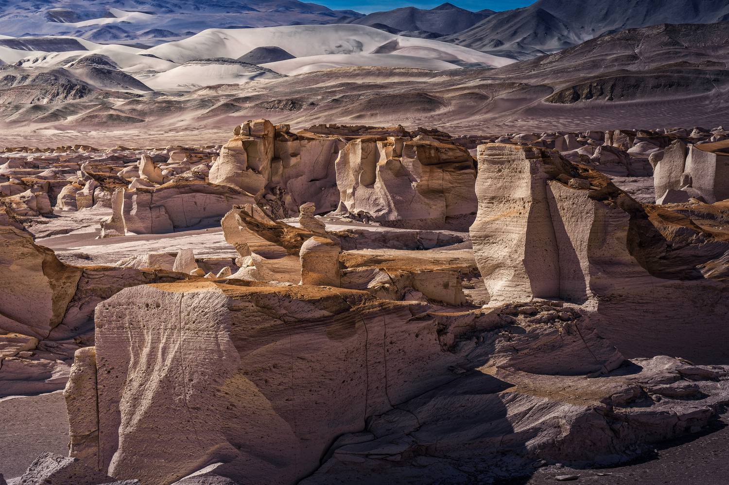 , RODRIGUEZ PROST JULIO