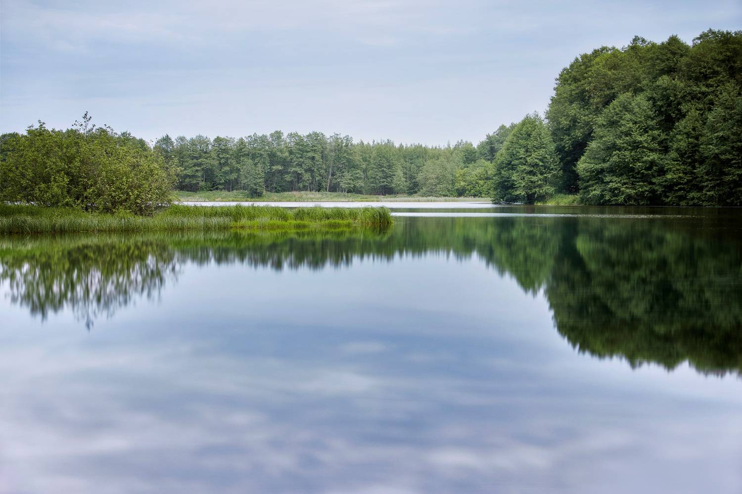 озеро, отражения, лес, Валерий Вождаев