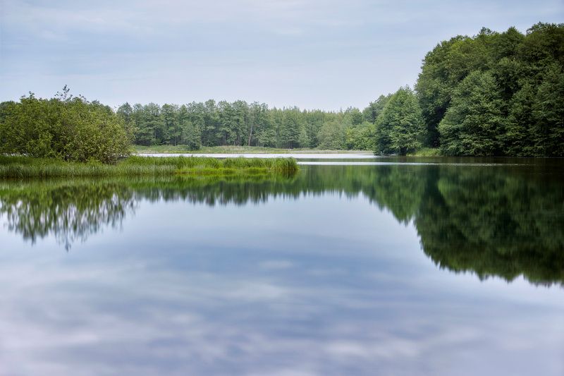озеро, отражения, лес Лесное озеро фото превью