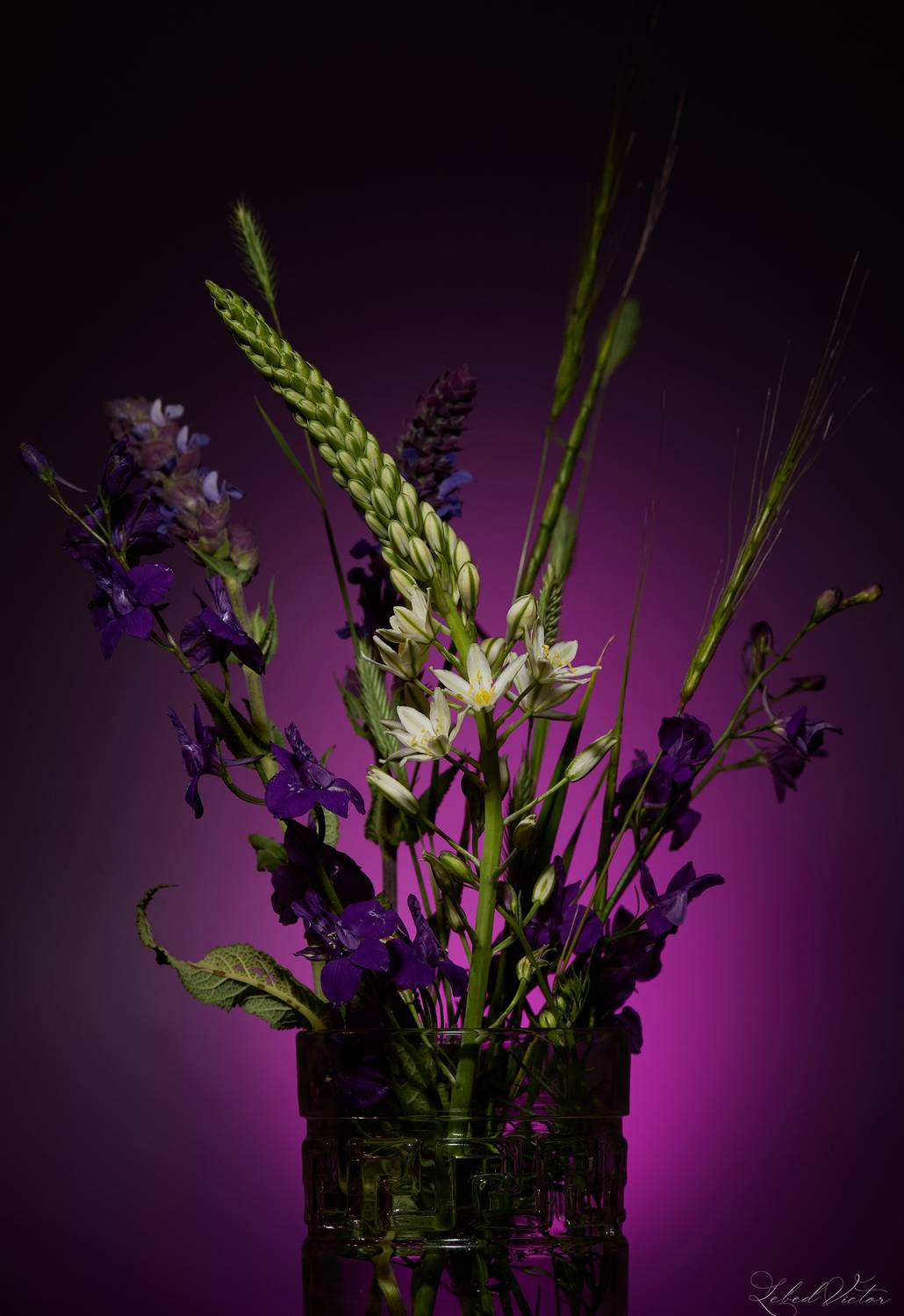 , Виктор Лебедь